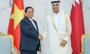 Việt Nam - Qatar xem xét miễn visa cho người mang hộ chiếu phổ thông