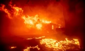 Cháy rừng ở California, hàng chục nghìn người phải sơ tán Cháy rừng ở California, hàng chục nghìn người phải sơ tán