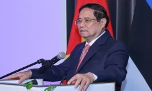 Thủ tướng kêu gọi doanh nghiệp Estonia tăng kết nối, đầu tư tại Việt Nam Thủ tướng kêu gọi doanh nghiệp Estonia tăng kết nối, đầu tư tại Việt Nam