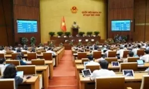 Công ty con, liên kết không được hưởng thuế ưu đãi thu nhập doanh nghiệp Công ty con, liên kết không được hưởng thuế ưu đãi thu nhập doanh nghiệp