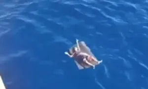 Ngư dân tàu chìm bám tấm xốp trôi dạt một ngày trên biển