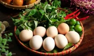 Ăn trứng mỗi ngày có an toàn?