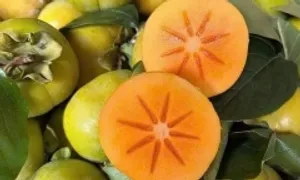 Lợi ích của quả hồng giòn