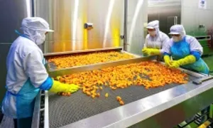 Xuất khẩu rau quả chế biến vượt tỷ USD