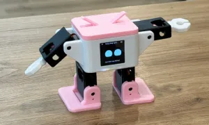 Robot đồ chơi chạy Deepseek giá dưới một triệu đồng hút khách